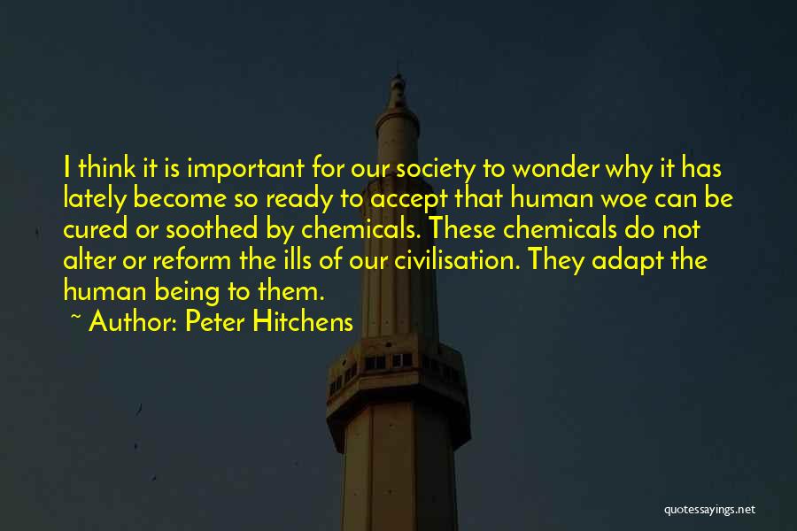 Peter Hitchens Quotes 833902