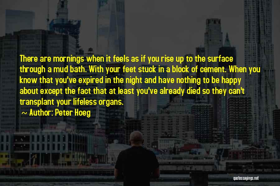 Peter Hoeg Quotes 1098796