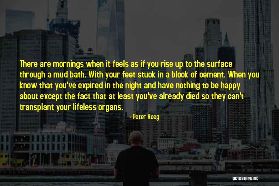 Peter Hoeg Quotes 1098796 Peter Hoeg Quotes 1098796