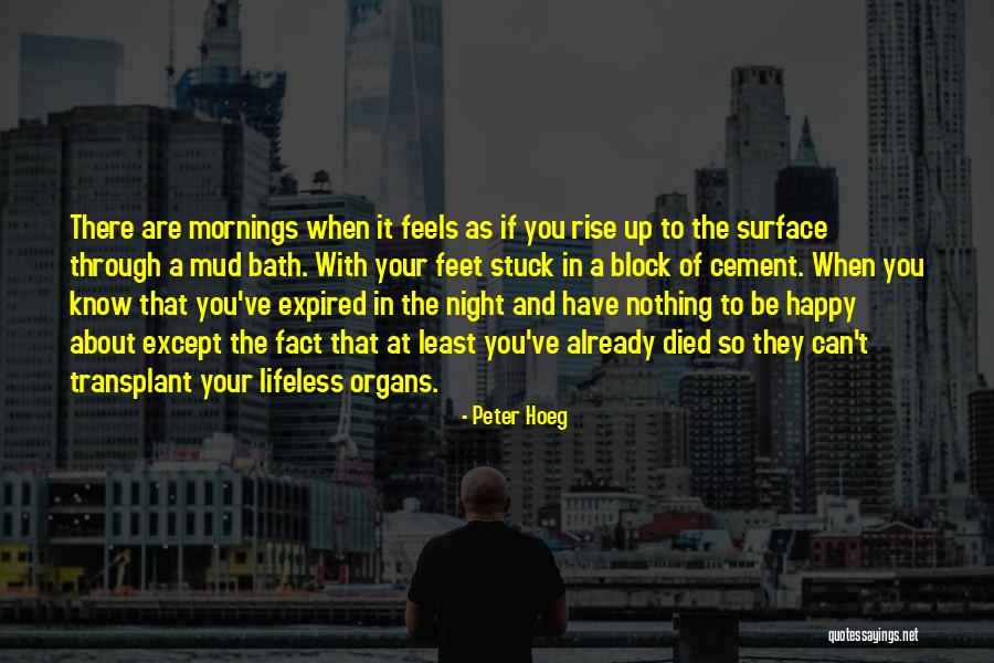 Peter Hoeg Quotes 1098796