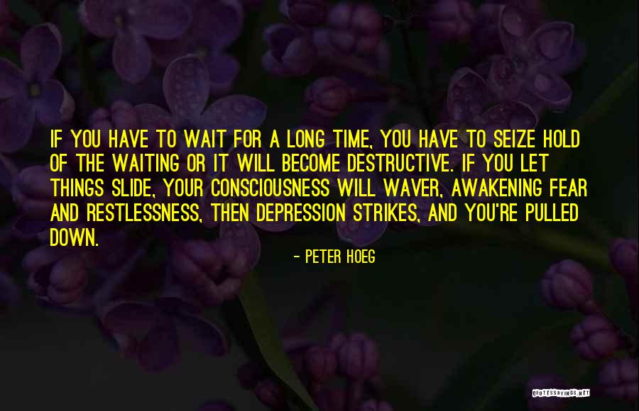 Peter Hoeg Quotes 2146610