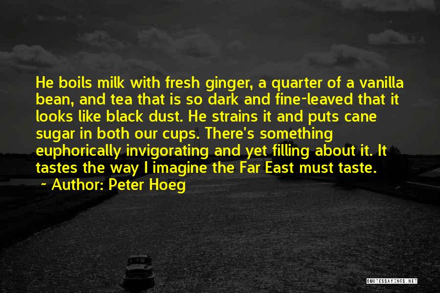 Peter Hoeg Quotes 881028