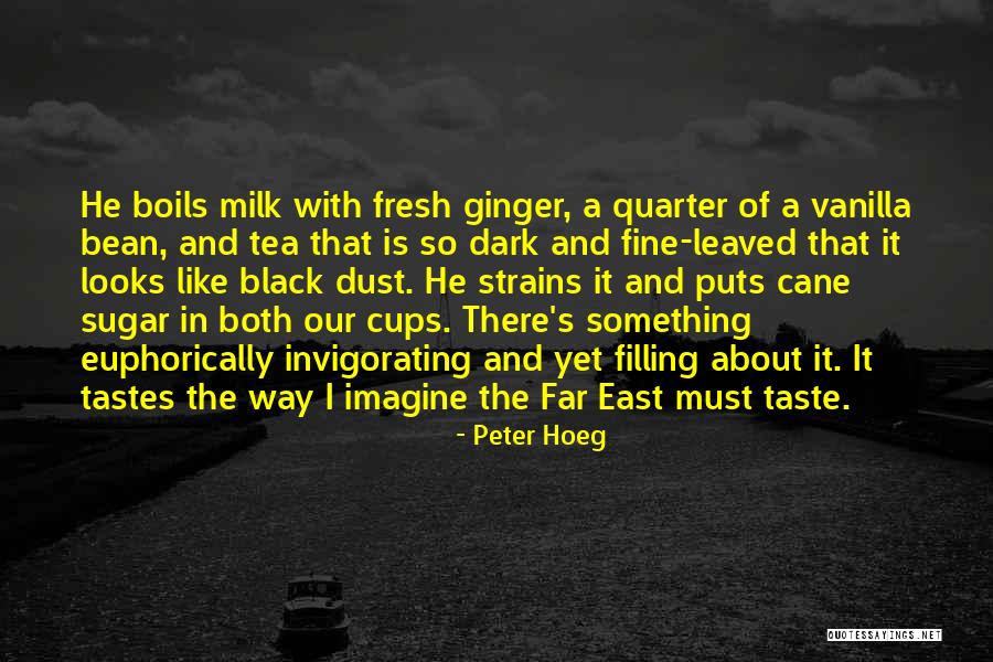 Peter Hoeg Quotes 881028 Peter Hoeg Quotes 881028