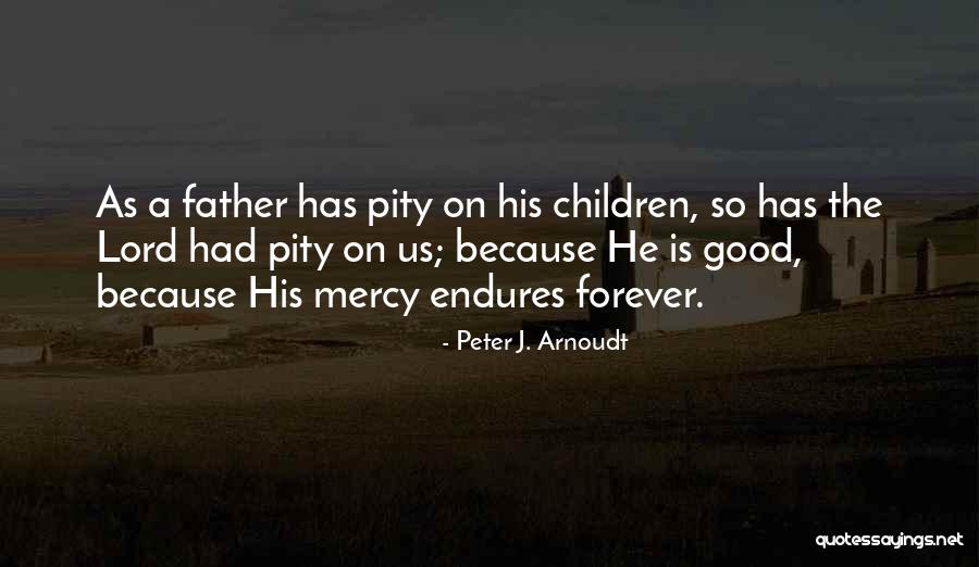 Peter J. Arnoudt Quotes 1410289 Peter J. Arnoudt Quotes 1410289
