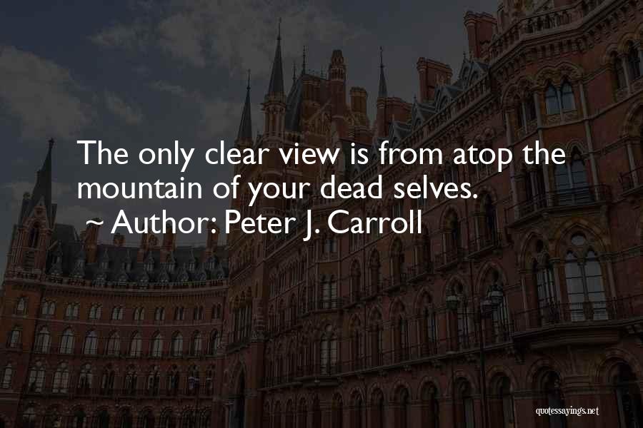 Peter J. Carroll Quotes 1726544