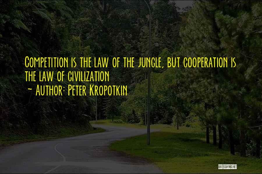 Peter Kropotkin Quotes 138915