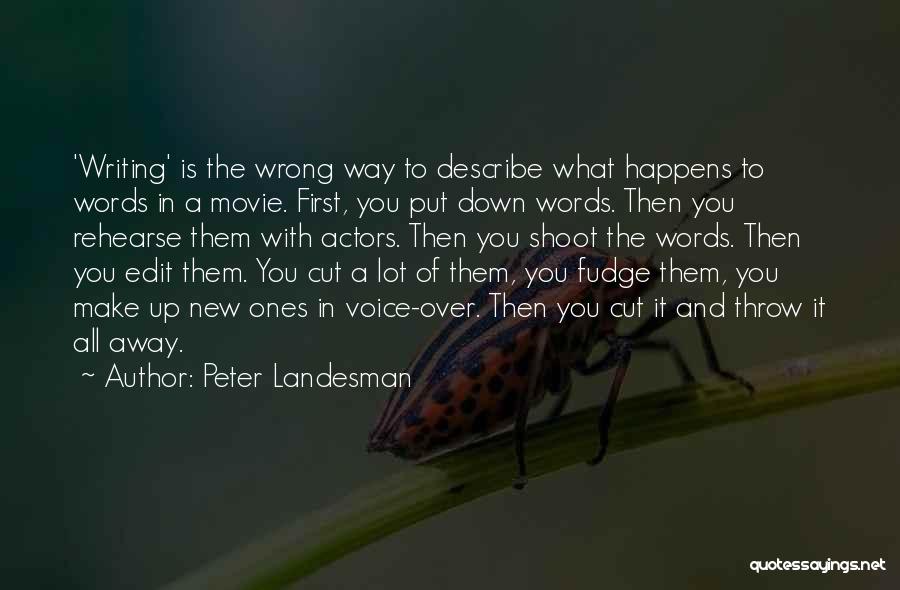 Peter Landesman Quotes 1090289