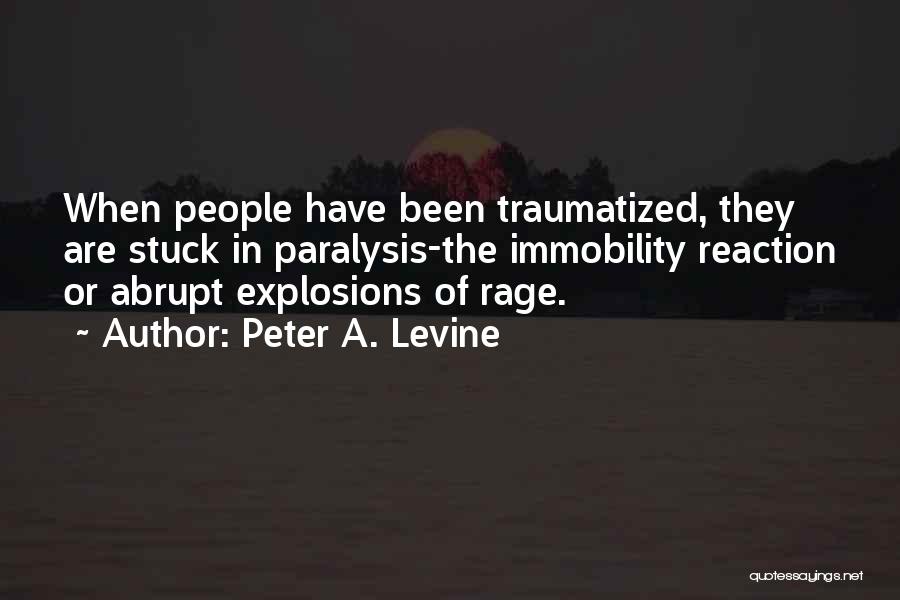 Peter Levine Quotes By Peter A. Levine