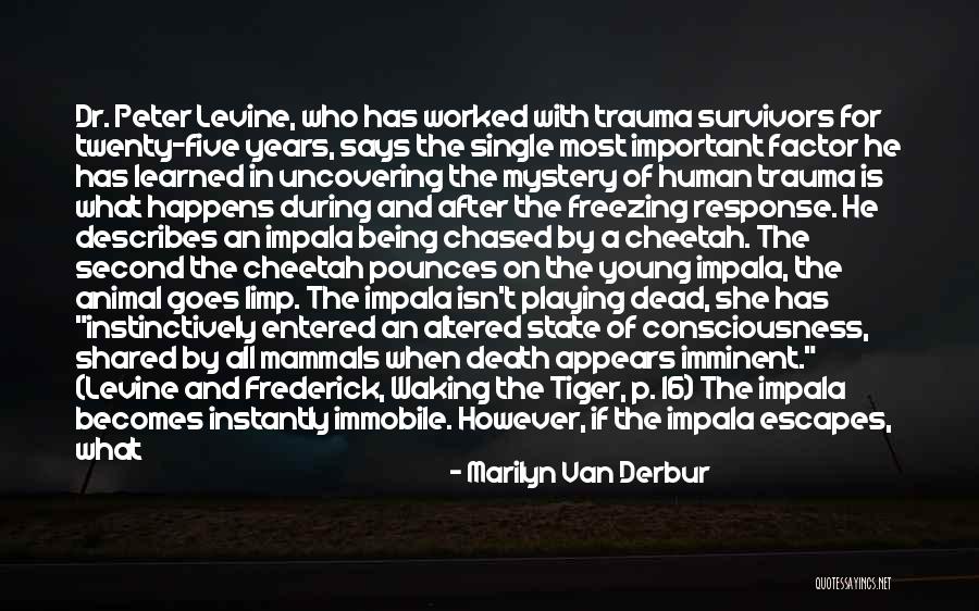 Peter Levine Trauma Quotes By Marilyn Van Derbur Peter Levine Trauma Quotes By Marilyn Van Derbur