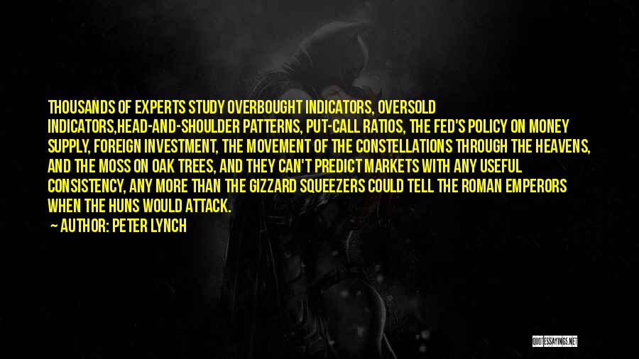 Peter Lynch Quotes 1066232