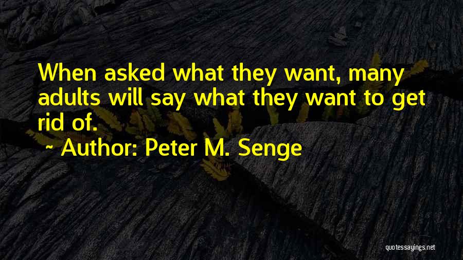 Peter M. Senge Quotes 1195708