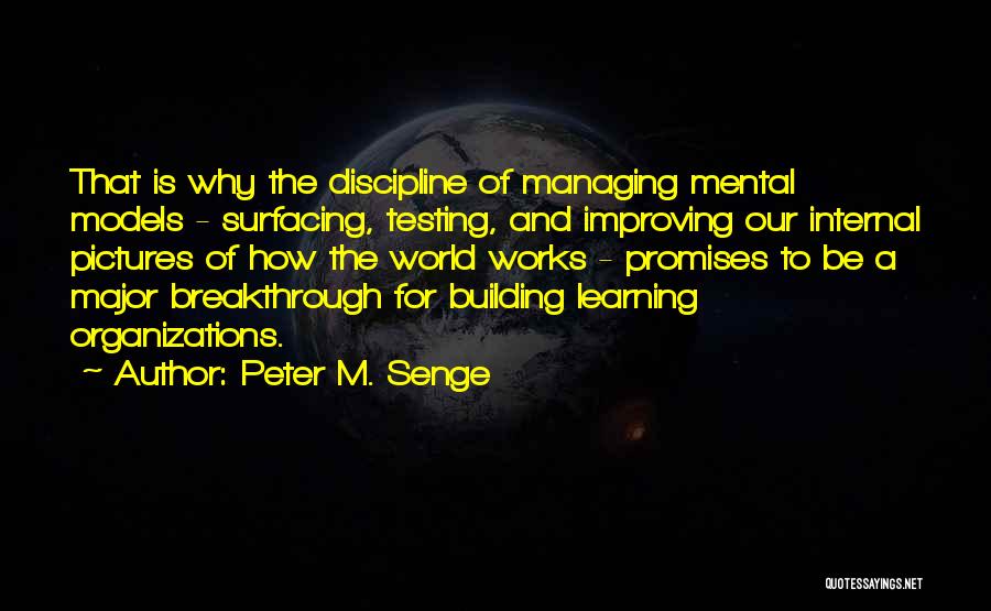 Peter M. Senge Quotes 1239472