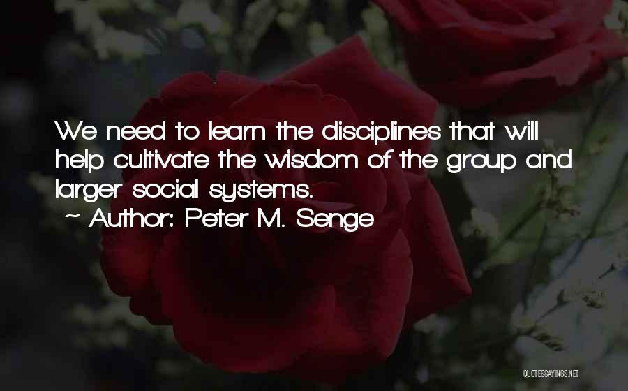 Peter M. Senge Quotes 393841