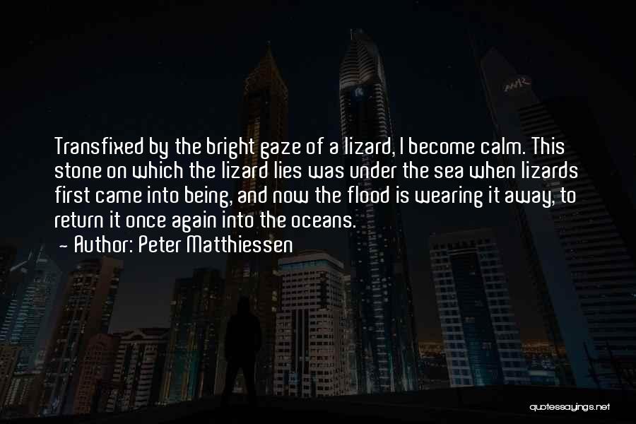 Peter Matthiessen Quotes 1159105