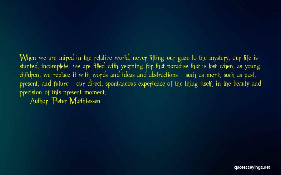 Peter Matthiessen Quotes 1197278