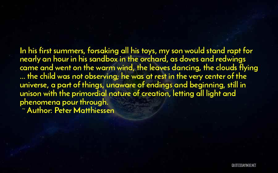 Peter Matthiessen Quotes 1345378