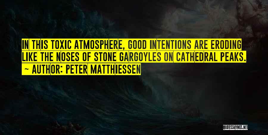 Peter Matthiessen Quotes 1610506