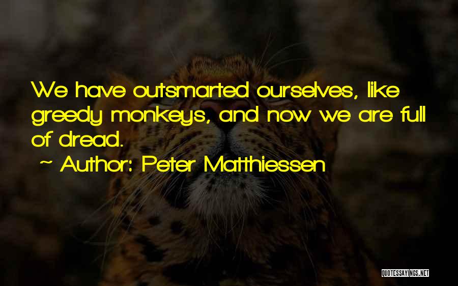 Peter Matthiessen Quotes 2020050