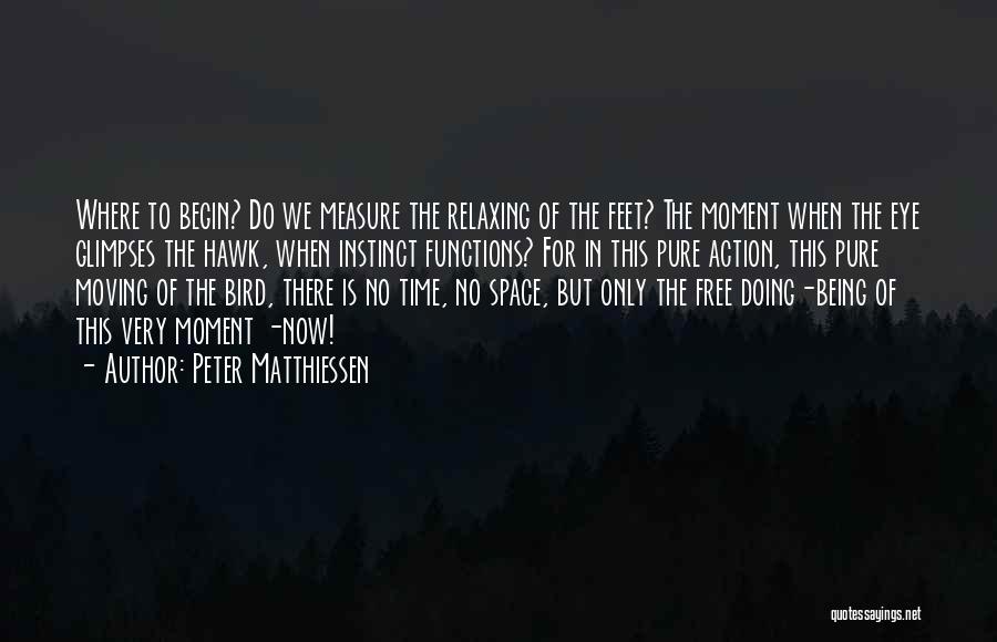 Peter Matthiessen Quotes 360085