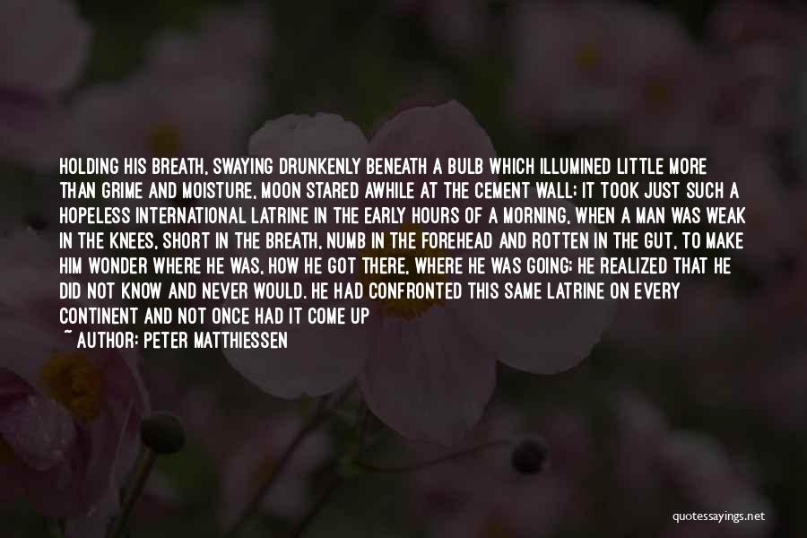 Peter Matthiessen Quotes 796975