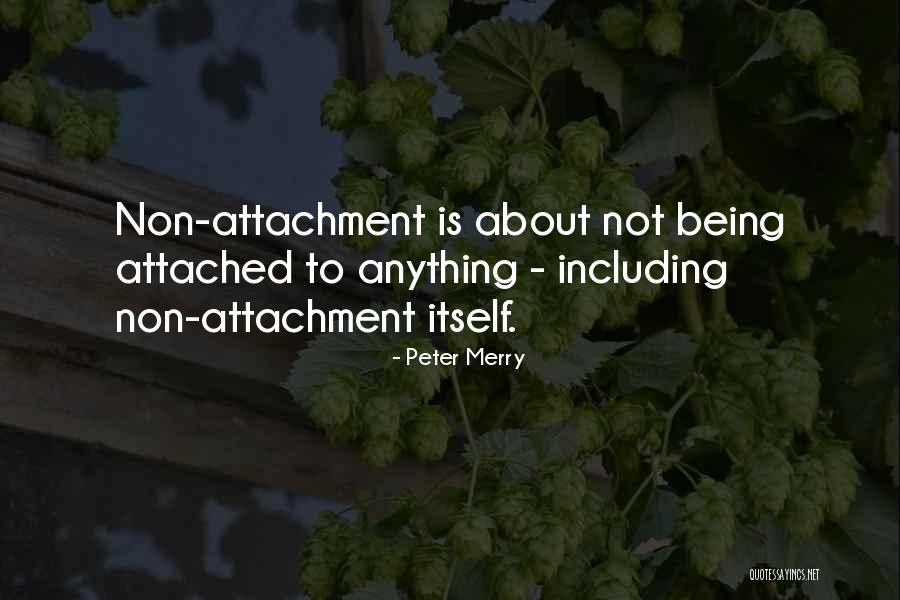 Peter Merry Quotes 1022619