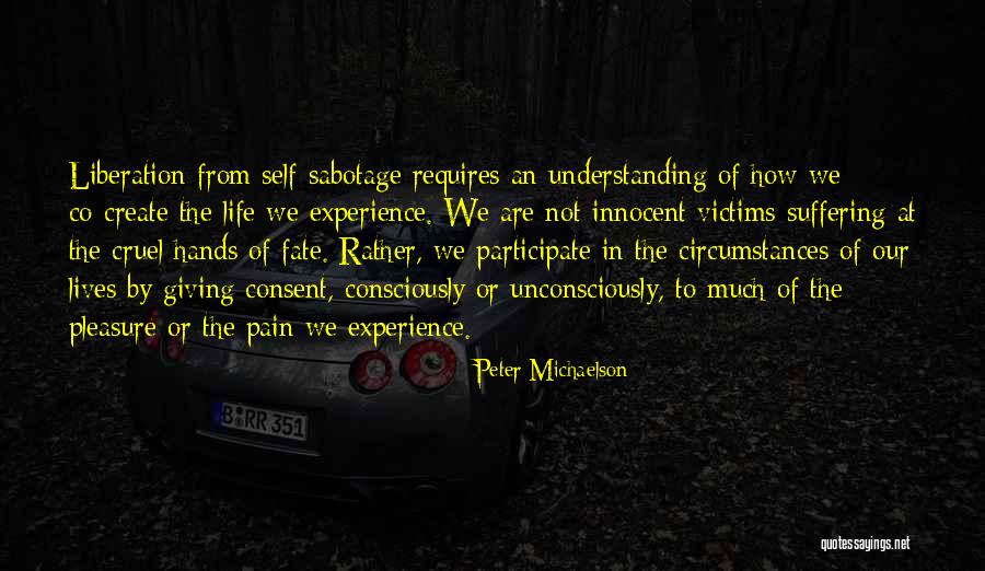 Peter Michaelson Quotes 1967672