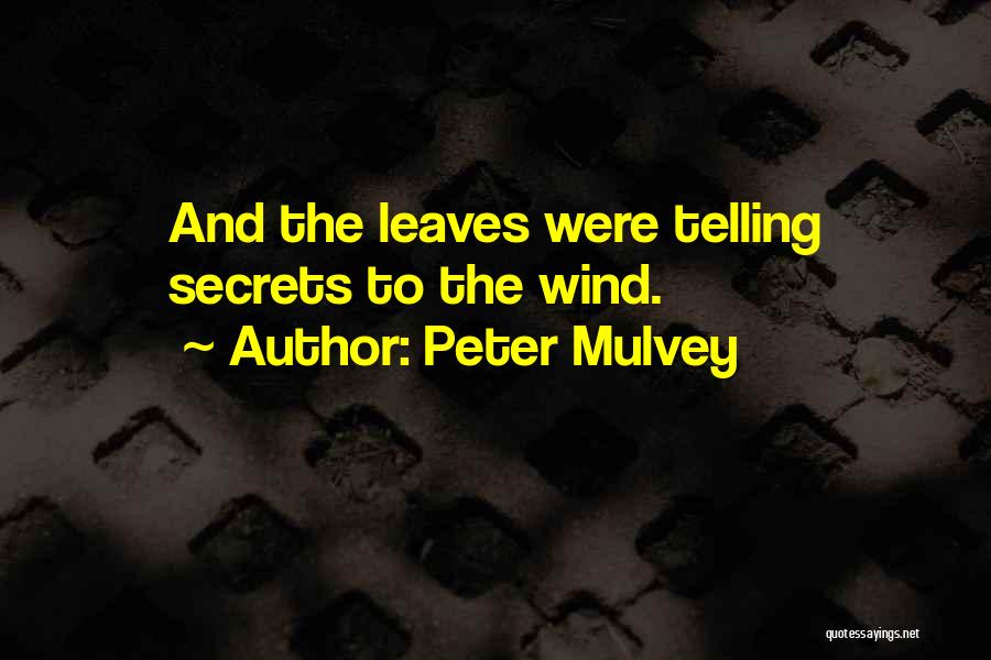 Peter Mulvey Quotes 1623585