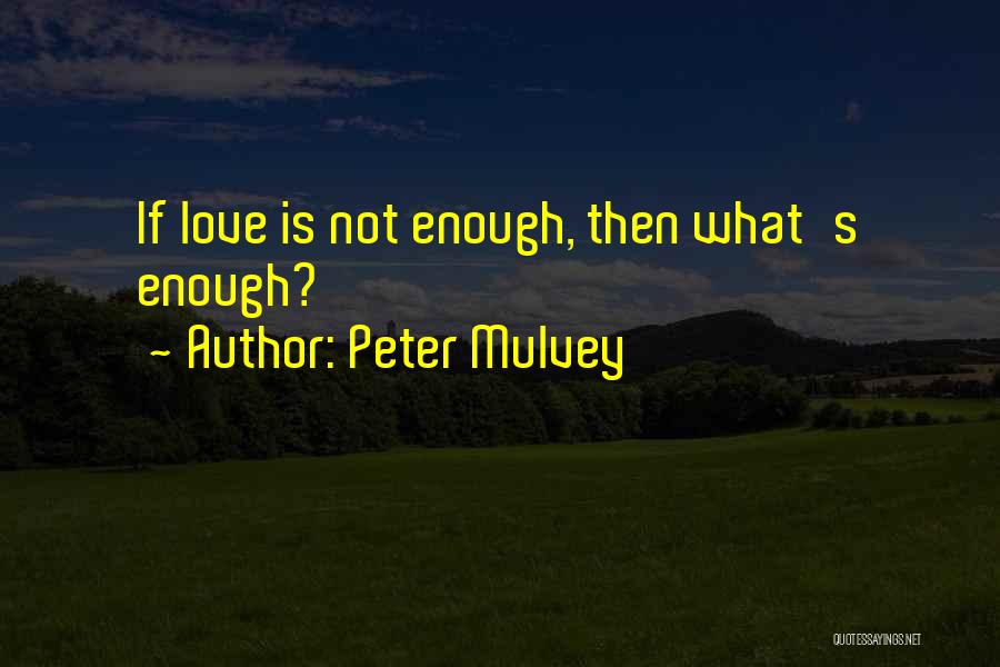 Peter Mulvey Quotes 789393