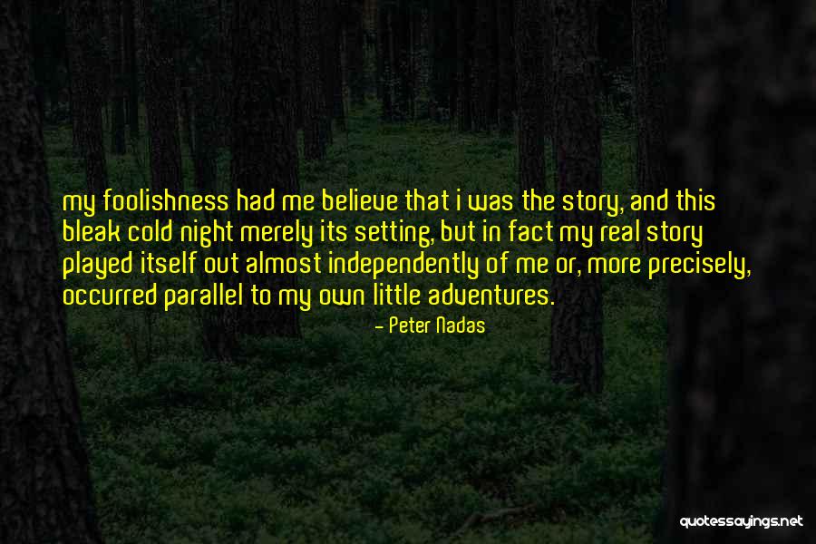 Peter Nadas Quotes 1971696