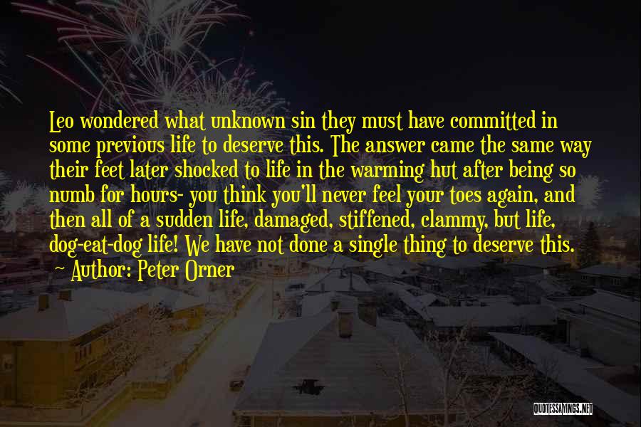 Peter Orner Quotes 390545