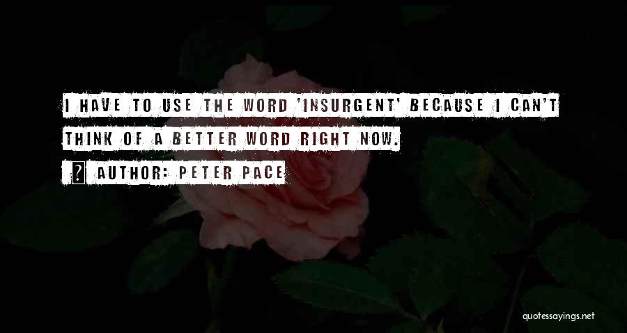 Peter Pace Quotes 828554