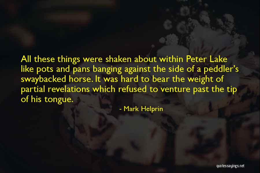 Peter Pans Quotes By Mark Helprin