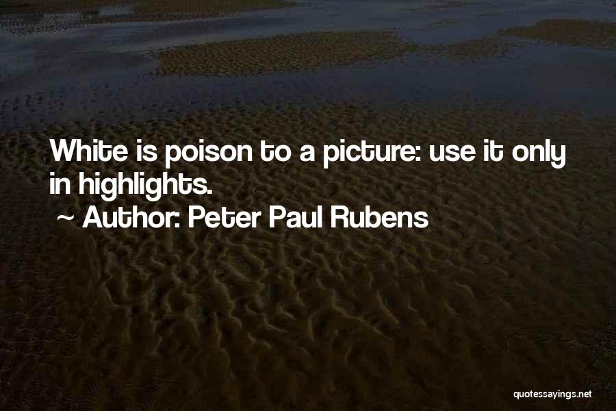 Peter Paul Rubens Quotes 594776