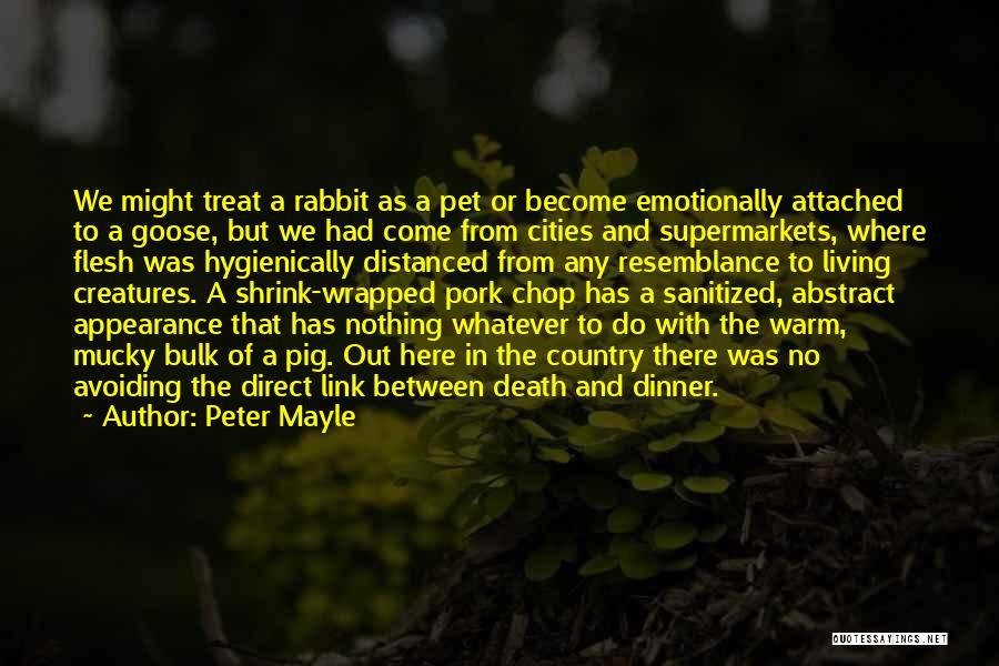 Peter Rabbit Quotes By Peter Mayle