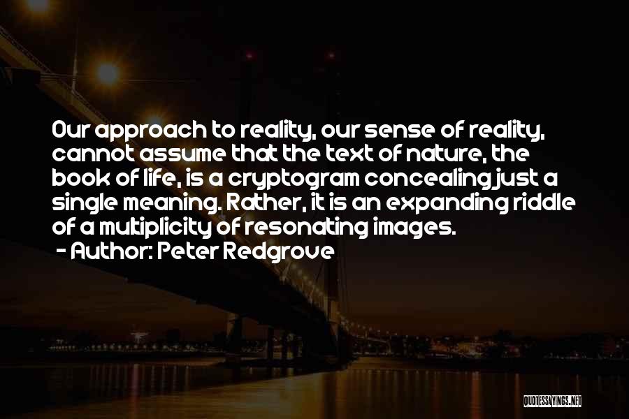 Peter Redgrove Quotes 847774