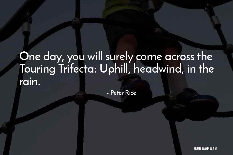 Peter Rice Quotes 629458