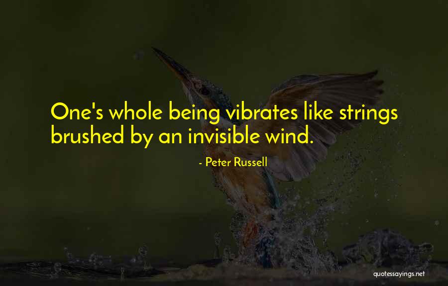 Peter Russell Quotes 1390262 Peter Russell Quotes 1390262