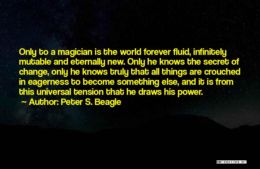 Peter S. Beagle Quotes 1059829