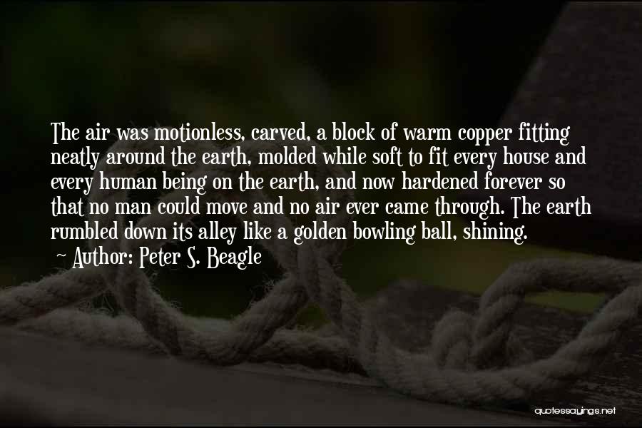 Peter S. Beagle Quotes 1558150