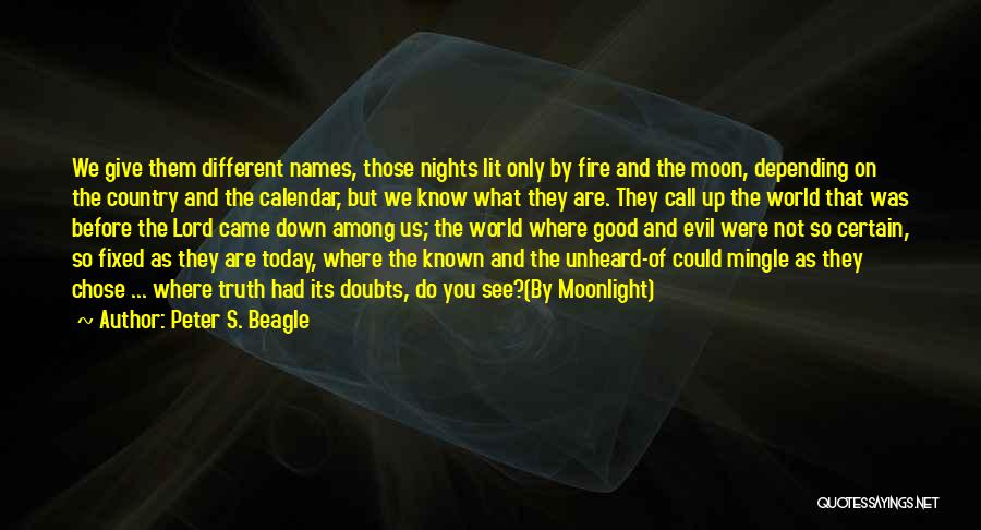 Peter S. Beagle Quotes 1729513