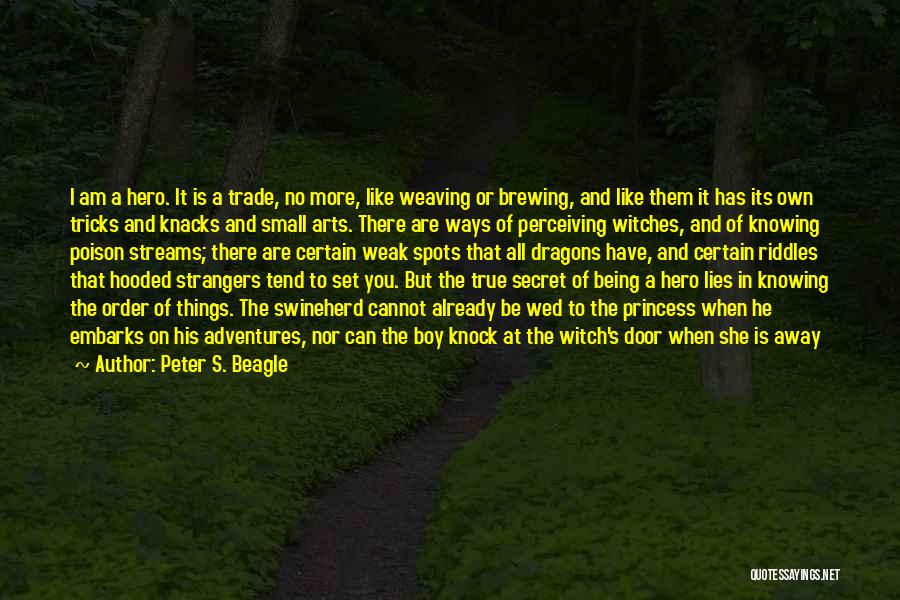 Peter S. Beagle Quotes 1732333