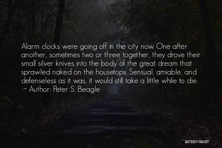 Peter S. Beagle Quotes 1823494