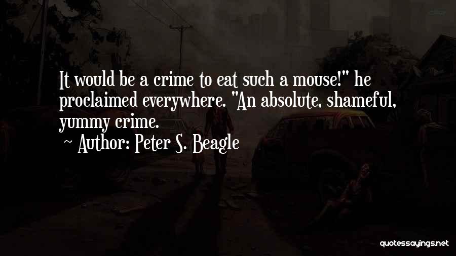 Peter S. Beagle Quotes 1935814