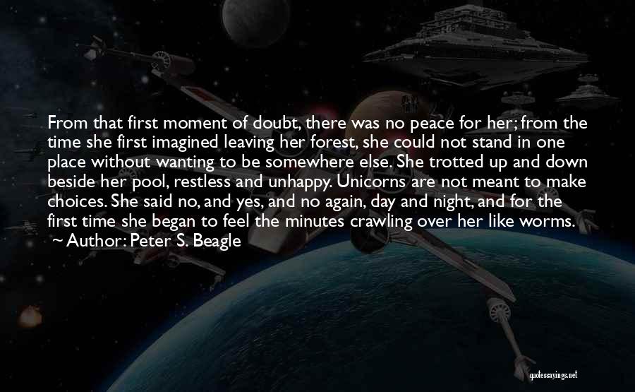 Peter S. Beagle Quotes 2152710