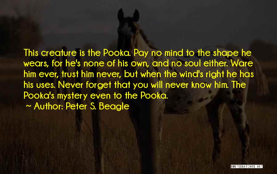 Peter S. Beagle Quotes 277237