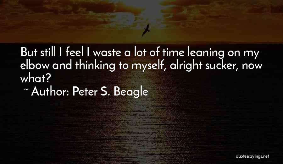 Peter S. Beagle Quotes 283088