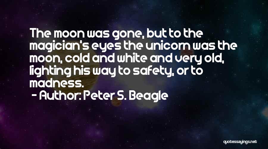 Peter S. Beagle Quotes 514272