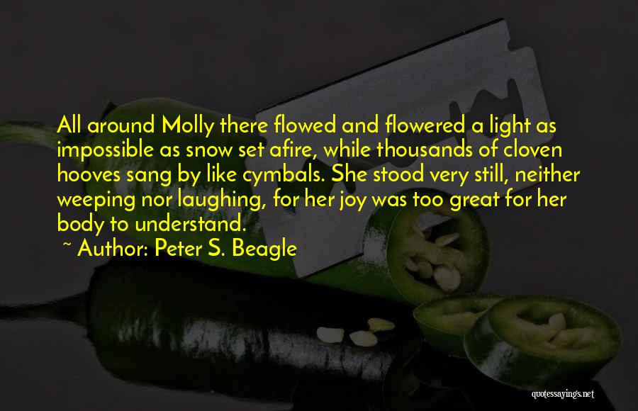 Peter S. Beagle Quotes 852743
