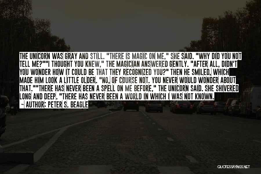 Peter S. Beagle Quotes 914564