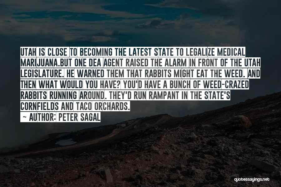 Peter Sagal Quotes 2213462